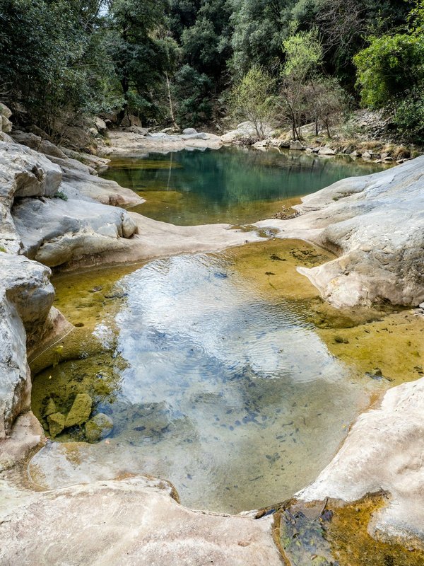 Cuisine légère : faites fi des idées reçues !